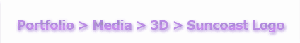 3D > Suncoast Business Solutions Logo