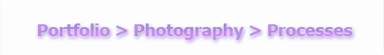 Portfolio > Photography > Processes